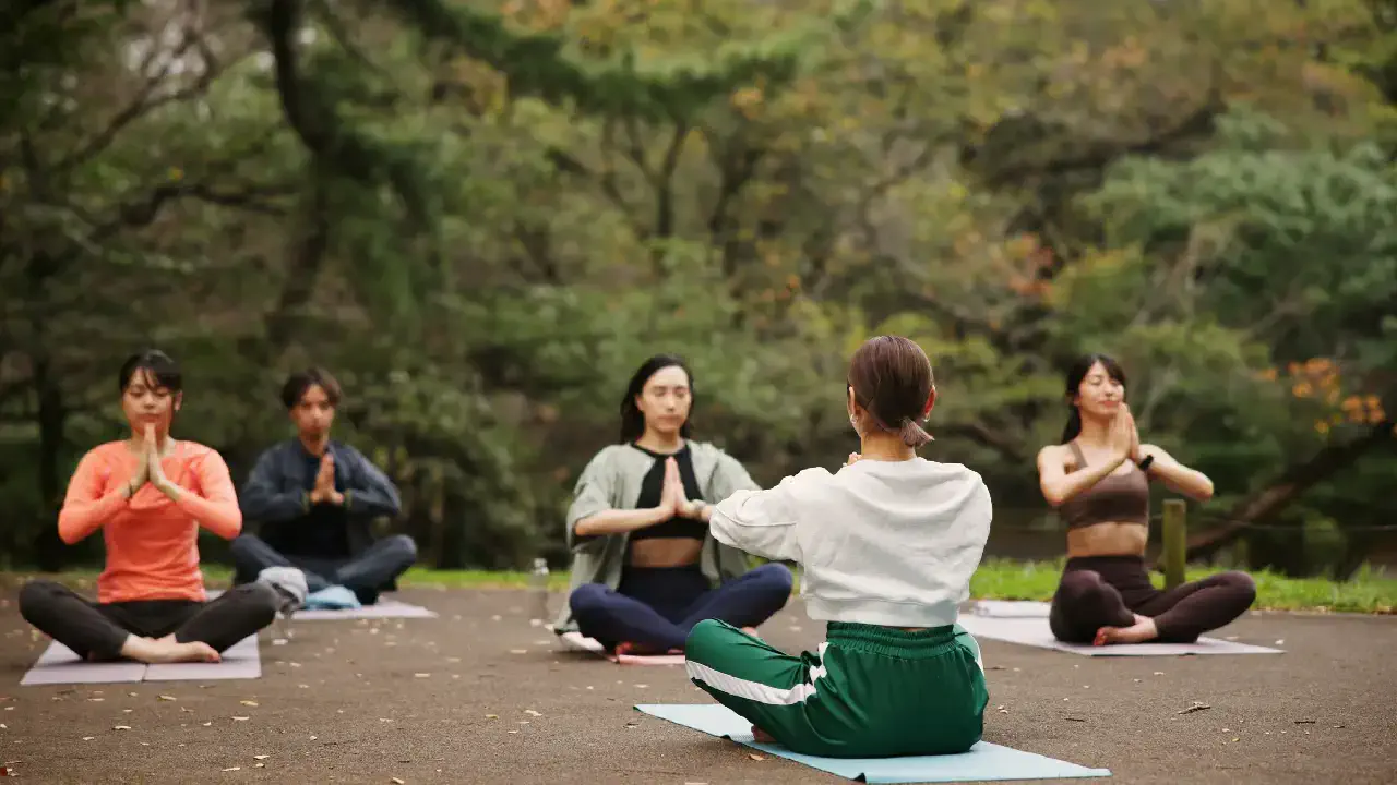 Meditation and Wellness